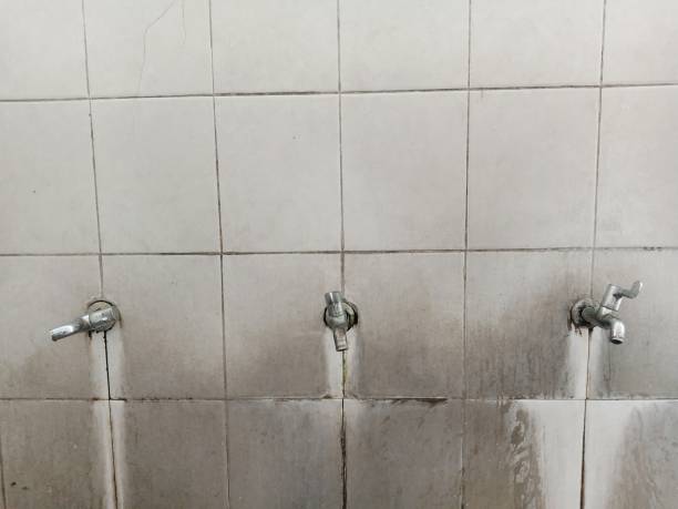 Reliable Coats, NC Water damage restoration Solutions