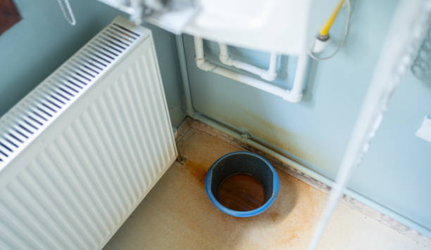 Best Mold removal after water damage  in Coats, NC