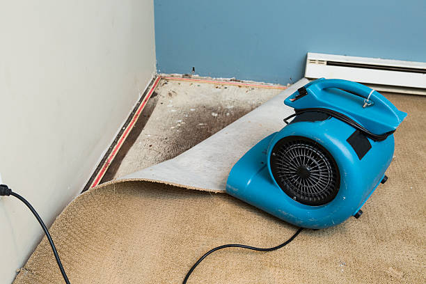 Best Local water damage restoration  in Coats, NC